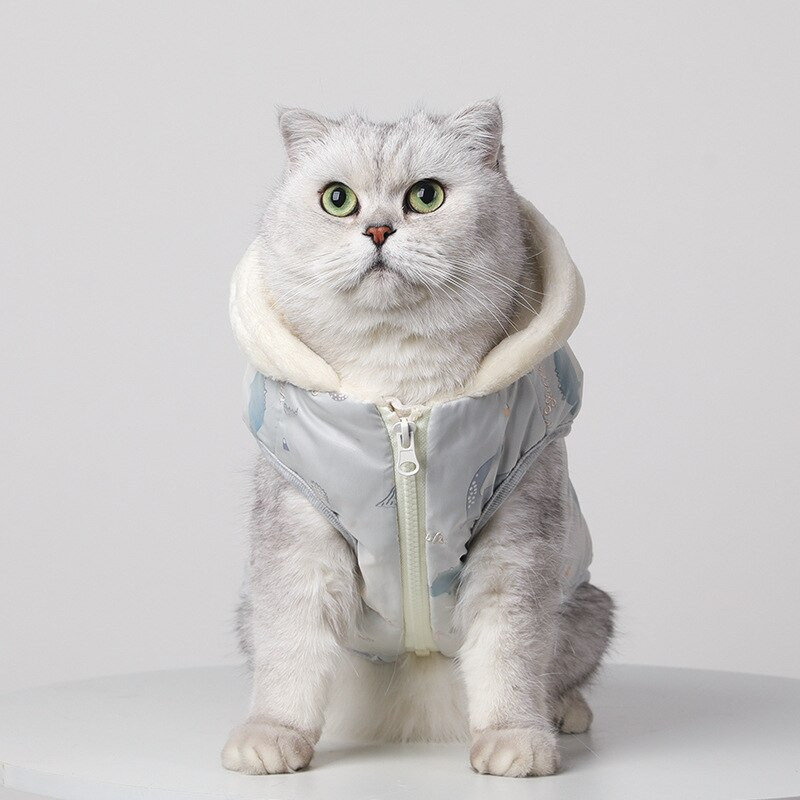 Палто с кучешки пух, жилетка с котешки пух, плюшен удебелен патешки пух, за да се стопли, зимни дрехи с памучна подплата Fadou Teddy