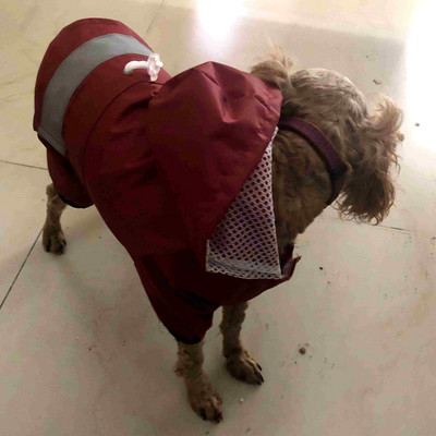 TOMEPETS Lemmiklooma vihmamantel Kapuutsiga koera vihmamantel Veekindel jope kutsikale Pehmest hingavast võrgust koerariided helkurvööga