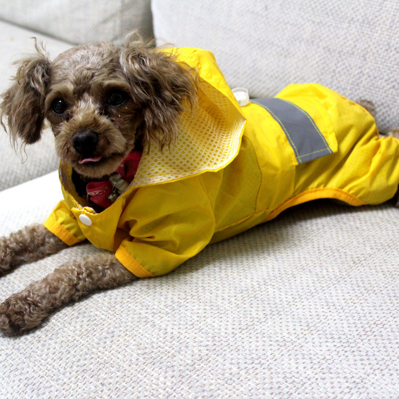 TOMEPETS Lemmiklooma vihmamantel Kapuutsiga koera vihmamantel Veekindel jope kutsikale Pehmest hingavast võrgust koerariided helkurvööga