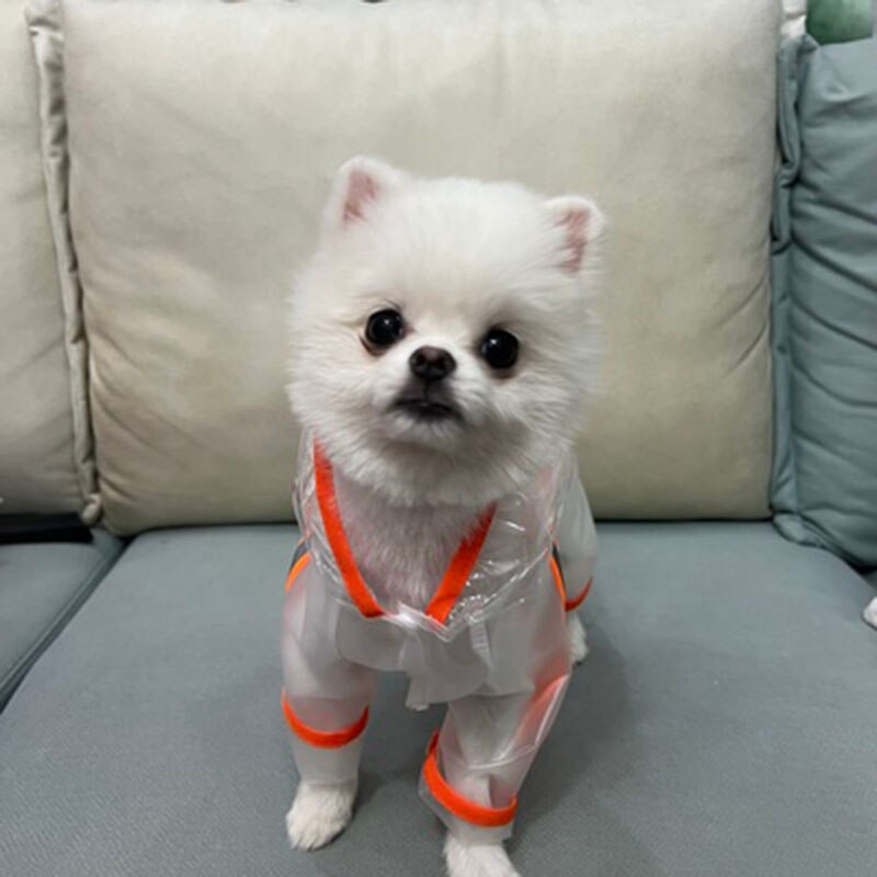 Pelenă de ploaie pentru câini, cu patru picioare, rezistentă la apă, chihuahua Yorkshire, cățeluș, animale de companie, pentru zile ploioase, artefact, haine poncho