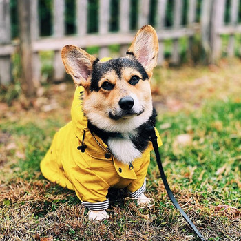 Ρούχα για σκύλους κατοικίδιων ζώων Μπουφάν για μικρούς μεσαίους σκύλους Αδιάβροχο αδιάβροχο κουταβιού Fashion Cool Coat Αντιανεμικό ρούχο για σκύλους Προμήθειες για κατοικίδια