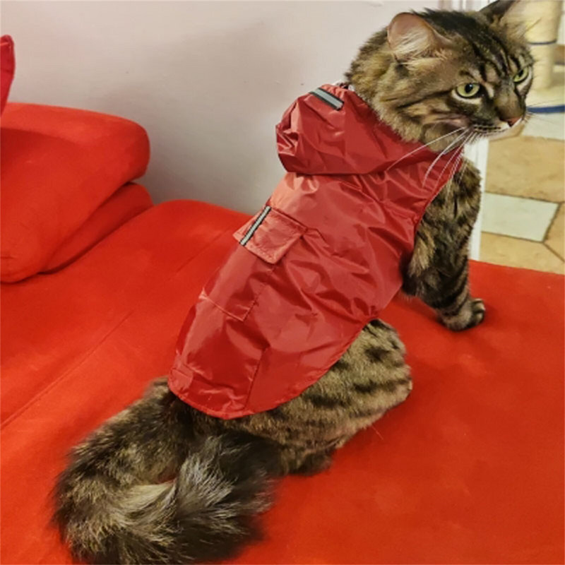 Didelis naminio šuns veido lietpaltis, atsparus vandeniui poliesterio apsauginis šviesą atspindintis dryželis lietaus striukė auksaspalvei retriveriui Labradoro Husky S-6XL