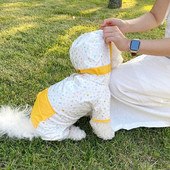 Kutsika Four Seasons universaalne vihmamantel Lemmikloom Teddy Rainy Day Artefact Pontšo koer Neljajalgsed veekindlad riided XS-XL