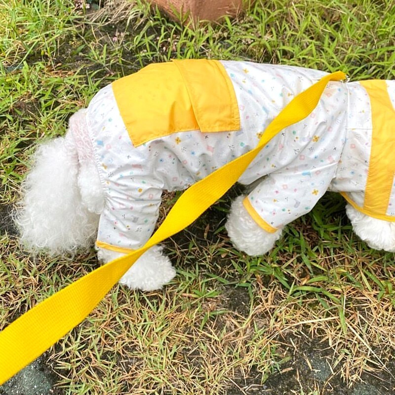 Kutsika Four Seasons universaalne vihmamantel Lemmikloom Teddy Rainy Day Artefact Pontšo koer Neljajalgsed veekindlad riided XS-XL