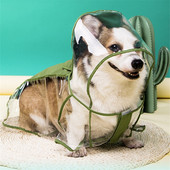 Pláštenka pre psov Welsh Corgi, Shiba Inu, oblečenie pre psov, nepremokavé oblečenie, priehľadná pršiplášť, kostým Welsh Corgi Pembroke, dropshipping
