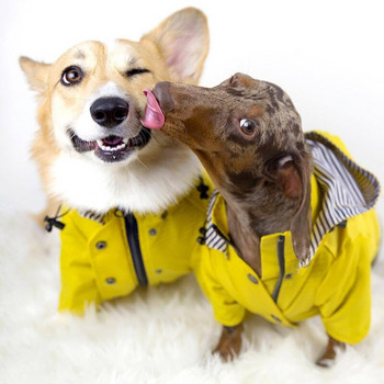 Моден кучешки дъждобран Водоустойчиви якета за домашни любимци Ветроустойчиви дрехи за малки големи кучета Corgi Puppy Дъждобран Палта за френски булдог