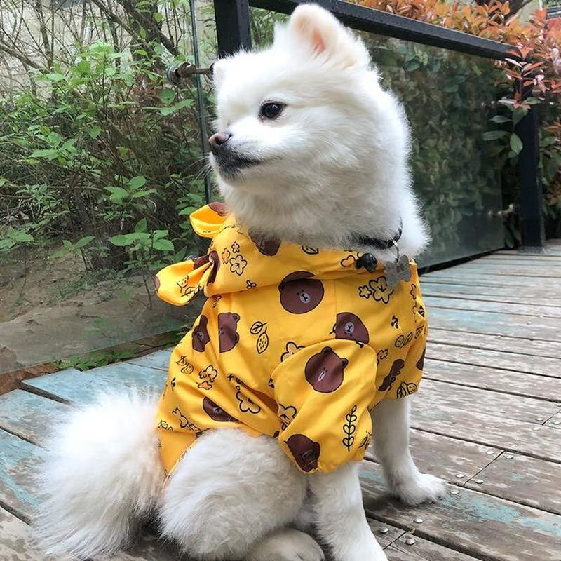 Pláštenka pre psov z Francúzskeho buldočka s roztomilou potlačou medveďa, nepremokavá bunda pre psov, kórejské nové oblečenie pre psov s kapucňou, bišon kabát