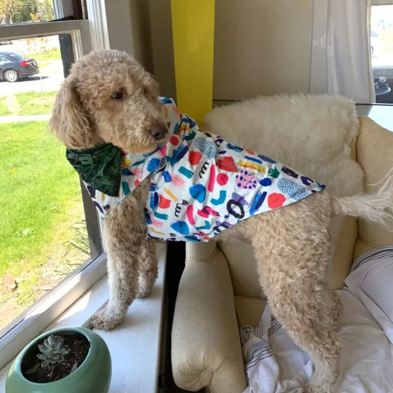 Koerariided Four Seasons Graffiti Print Lemmiklooma kahepoolne vihmamantel Tuulejook Koerte vihmamantel Prantsuse buldogi keskmised ja suured koerad