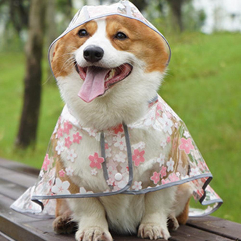 Perfektne padnúca inovatívna priehľadná pláštenka pre psov s kvetinovým vzorom, štýlová potlač pláštenky pre psov pre šteniatka