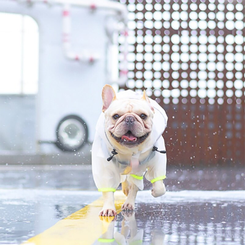 Haina pentru câini Pelernă de ploaie, țesătură rezistentă la apă, hanorac cu șnur ajustabil, imprimare la modă, culoare solidă