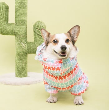 Ουαλικά Corgi Dog Raincoat Jumpsuit Ρούχα για κατοικίδια Αδιάβροχα ρούχα για σκύλους Golden Retriever Μπουφάν βροχής Στολή για κατοικίδια Ρούχα βροχής