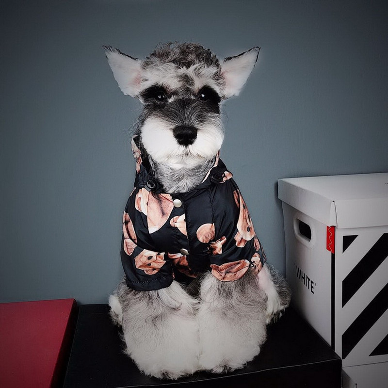 Pelernă de ploaie pentru câini, cu imprimeu de urs, haine pentru animale de companie, cățeluș, doberman, pluș, buldog francez, jachetă impermeabilă pentru caine în aer liber