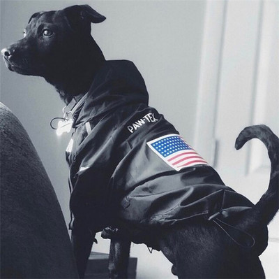 Odjeća za pse Kabanica za male velike pse Vjetrovka Vjetrovka Francuski buldog Hoodie za pse Odjeća Jakna Lice psa čivave