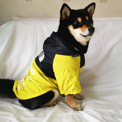 Odjeća za pse Kabanica za male velike pse Vjetrovka Vjetrovka Francuski buldog Hoodie za pse Odjeća Jakna Lice psa čivave