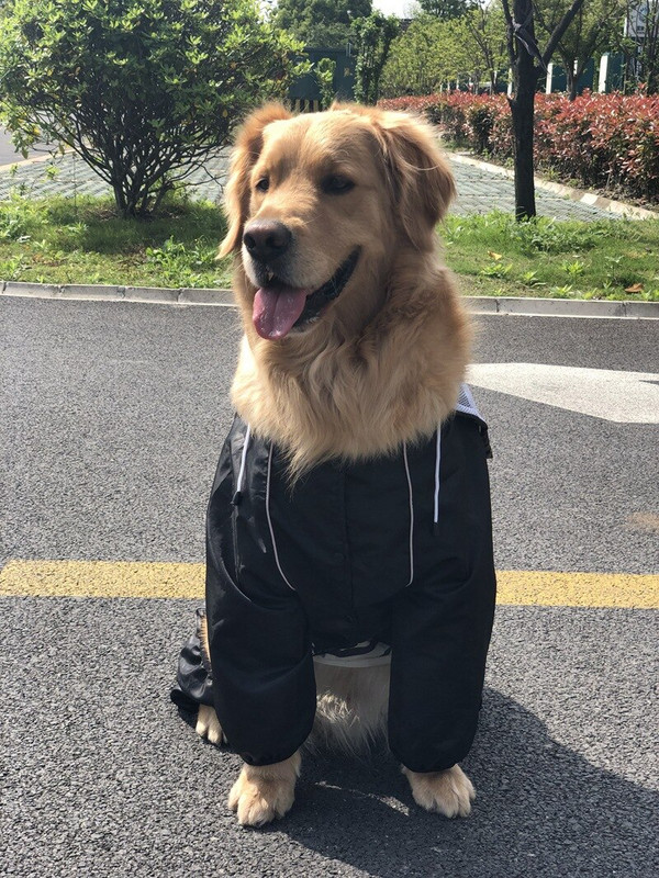 Suur koerte kapuutsiga vihmamantel suurtele koertele Must vihmamantel Labradori kombinesooni vihmakostüüm, vihmakate, helkur suur koera pontšo L