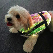 Vodotesný obojok pre domáce zvieratá, psa, mačku, zlatého retrievera, Samo, husky, LED RGB farebné optické vlákno, osvetlenie oblečenia, vstavaná batéria