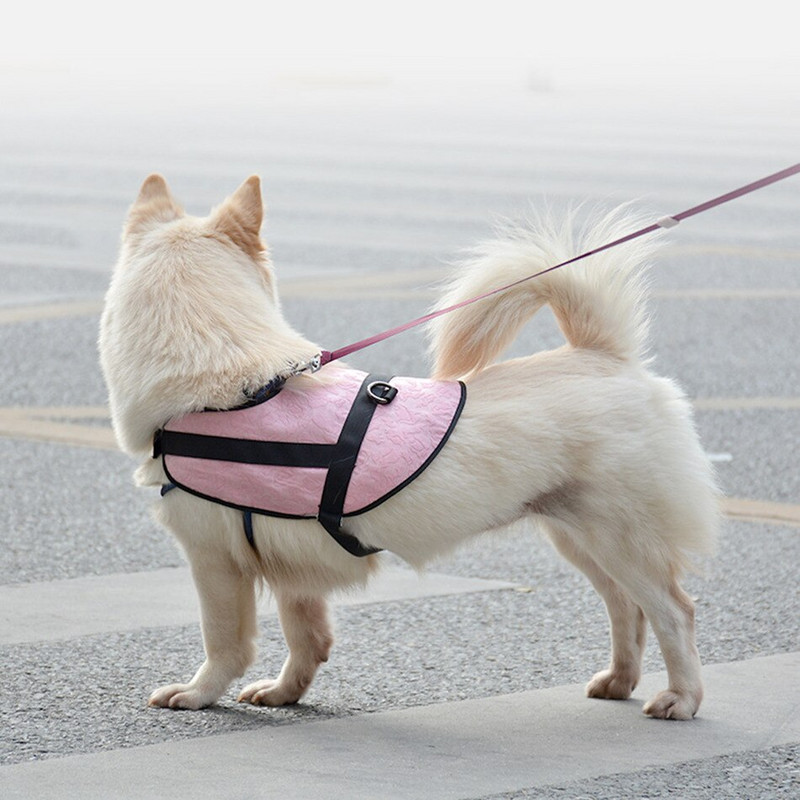 Vodotesný obojok pre domáce zvieratá, psa, mačku, zlatého retrievera, Samo, husky, LED RGB farebné optické vlákno, osvetlenie oblečenia, vstavaná batéria