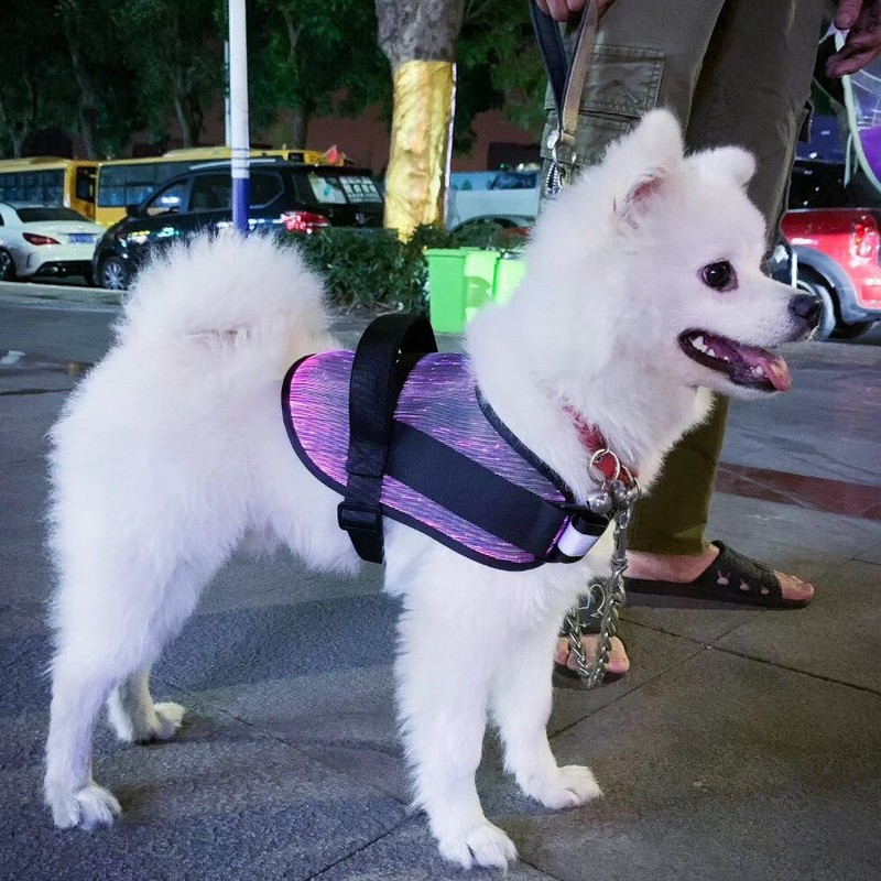 Vodotesný obojok pre domáce zvieratá, psa, mačku, zlatého retrievera, Samo, husky, LED RGB farebné optické vlákno, osvetlenie oblečenia, vstavaná batéria