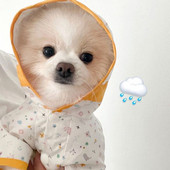 Αδιάβροχο Puppy Dog με τετράποδο αδιάβροχο Chihuahua Yorkshire Small Dog Pet Cat Rainy Day Artifact Poncho Αδιάβροχα ρούχα