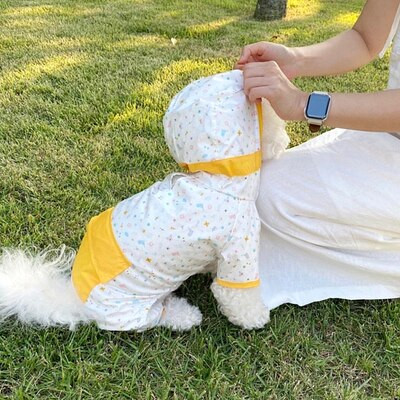 Αδιάβροχο Puppy Dog με τετράποδο αδιάβροχο Chihuahua Yorkshire Small Dog Pet Cat Rainy Day Artifact Poncho Αδιάβροχα ρούχα