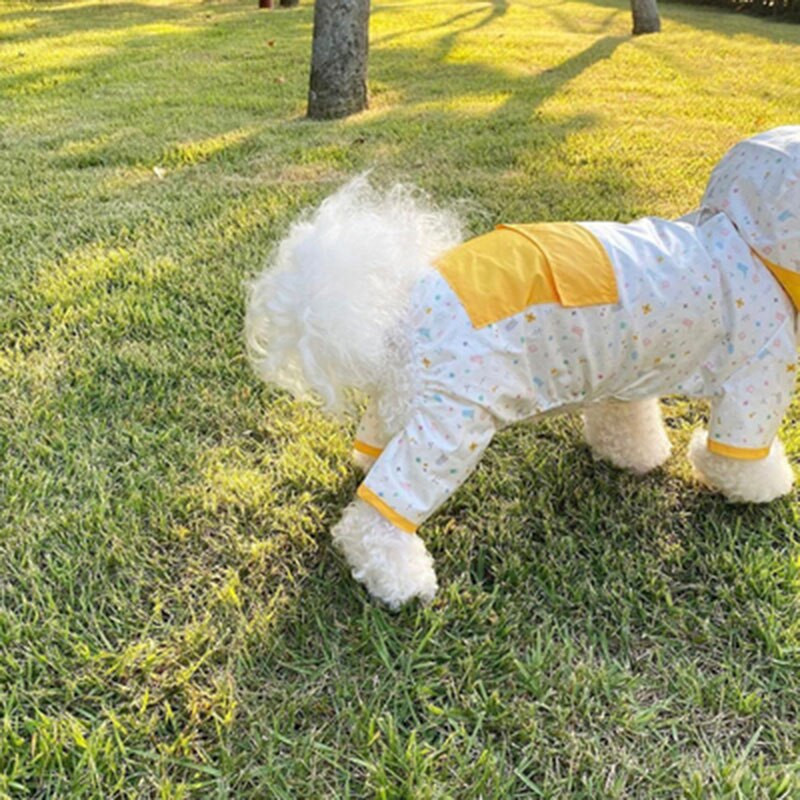 Αδιάβροχο Puppy Dog με τετράποδο αδιάβροχο Chihuahua Yorkshire Small Dog Pet Cat Rainy Day Artifact Poncho Αδιάβροχα ρούχα