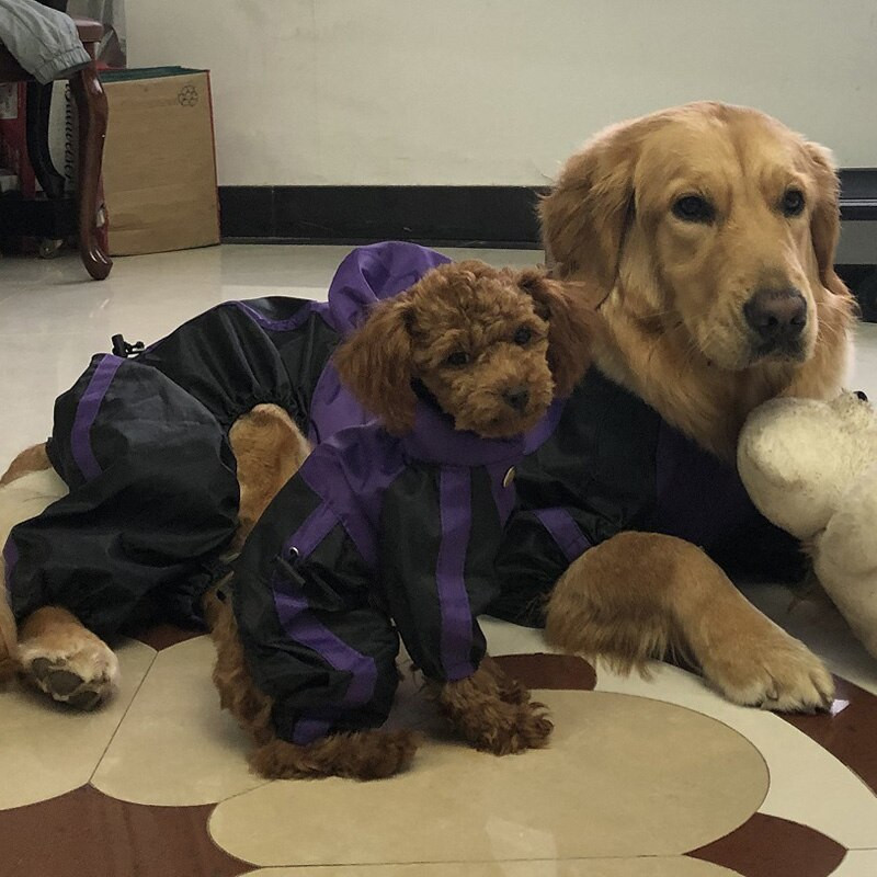 Lemmikloomad kassid ja koerad Neljajalgsed kapuutsiga vihmamantel suur koera vihmamantel Lootoselehe pind õues kumerad veekindlad riided