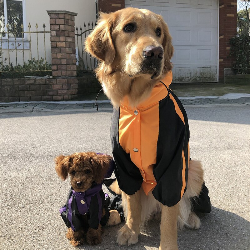 Lemmikloomad kassid ja koerad Neljajalgsed kapuutsiga vihmamantel suur koera vihmamantel Lootoselehe pind õues kumerad veekindlad riided