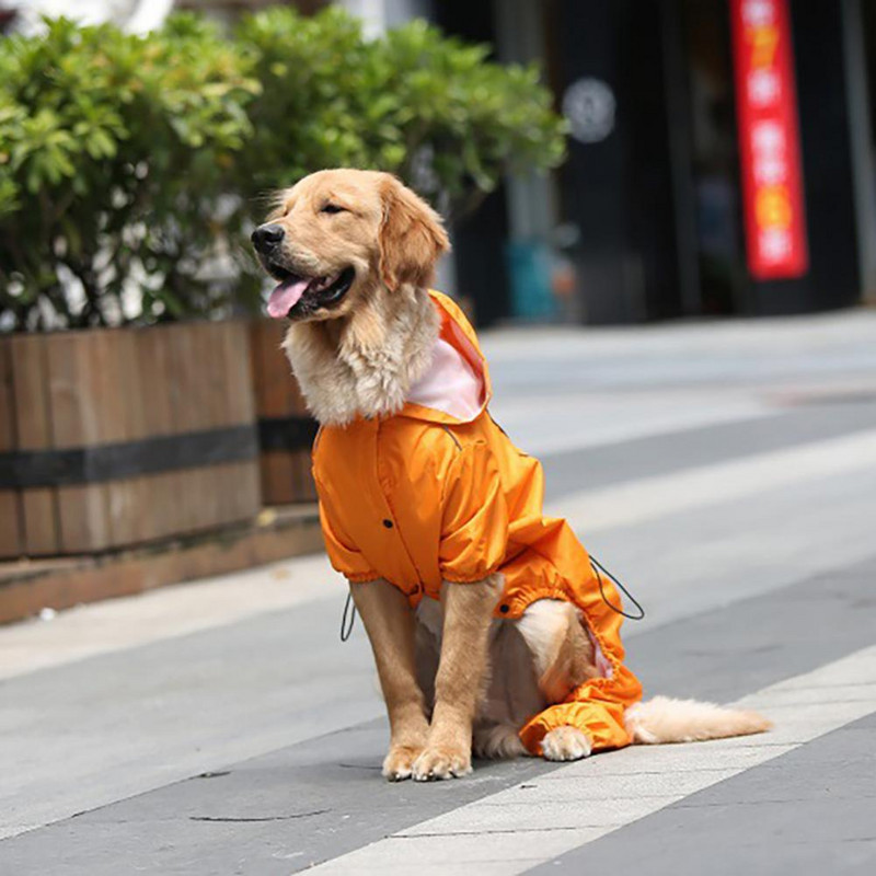 Skaidrus šunų lietpaltis, kvėpuojantis vandeniui atsparus poliuretanas Big Pet Dog Keturkojis lietpaltis, skirtas išvykai šuniui Teddy lietaus nepraleidžiančios striukės komplektas