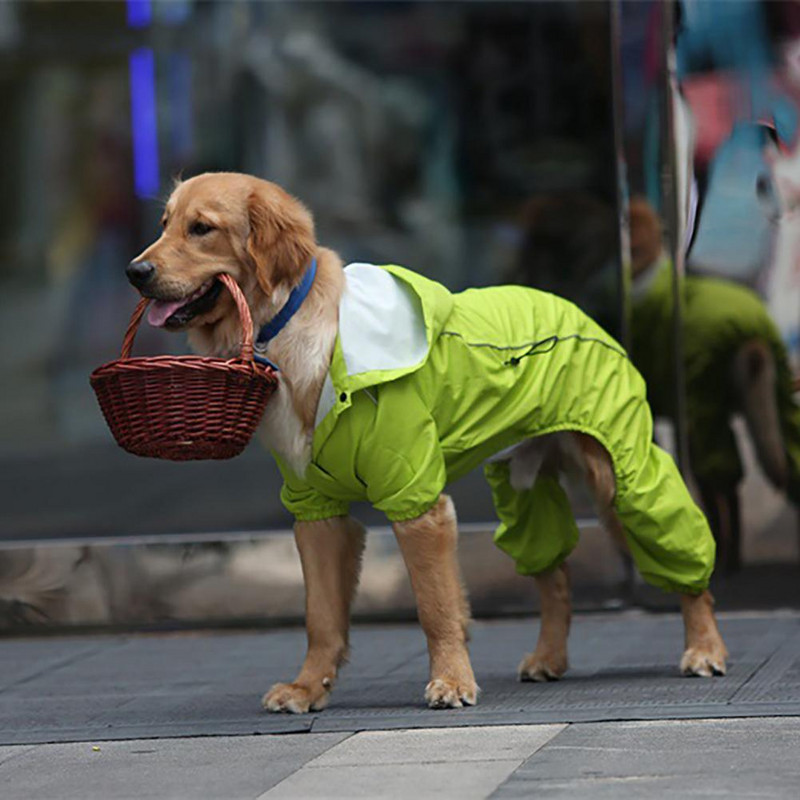 Skaidrus šunų lietpaltis, kvėpuojantis vandeniui atsparus poliuretanas Big Pet Dog Keturkojis lietpaltis, skirtas išvykai šuniui Teddy lietaus nepraleidžiančios striukės komplektas