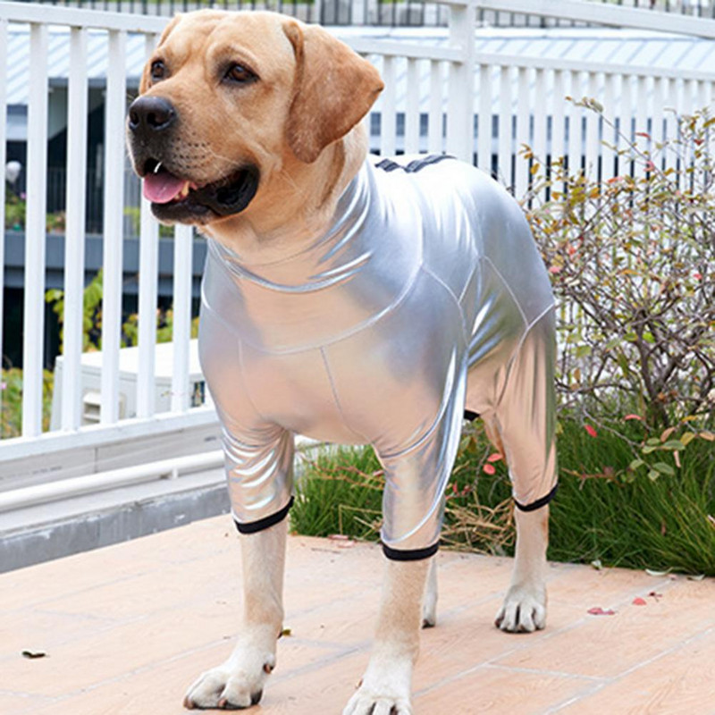 Lemmikloomariided Praktilised pilkupüüdvad lemmikloomakoera 4 jalaga vihmamantliga kutsika keha igapäevaseks kandmiseks Lemmiklooma kombinesoonid Lemmikloomarõivad