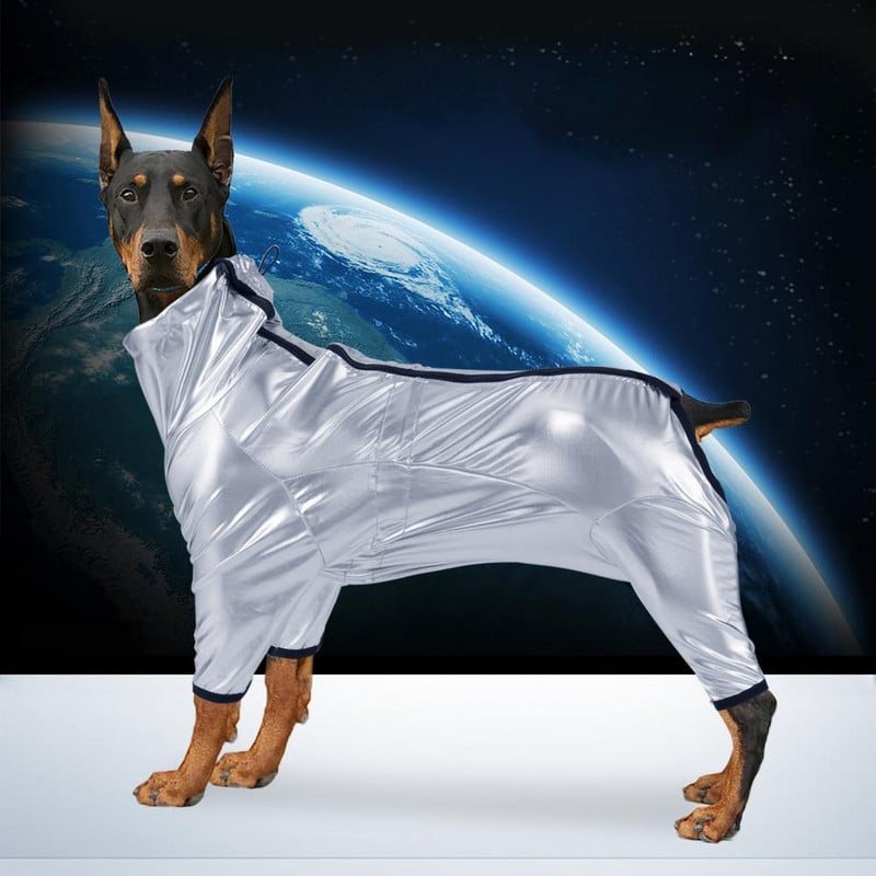 Lemmikloomariided Praktilised pilkupüüdvad lemmikloomakoera 4 jalaga vihmamantliga kutsika keha igapäevaseks kandmiseks Lemmiklooma kombinesoonid Lemmikloomarõivad