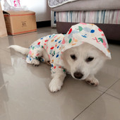 2022 Pelernă de ploaie pentru câini Îmbrăcăminte impermeabilă pentru câini Jachetă de ploaie Pomeranian Bichon Frise Pudel Schnauzer Haine pentru câini ținută Îmbrăcăminte