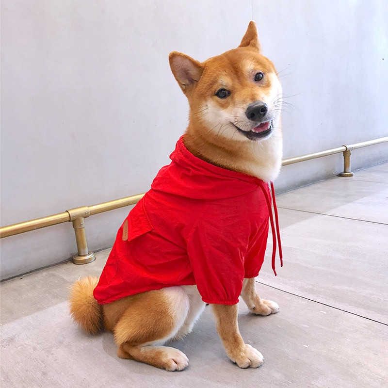 Opaľovací krém na veľké psy, oblečenie pre malé psy, pršiplášť pre psov, kabát, nepremokavé oblečenie do dažďa, pršiplášť pre mačky, pršiplášť pre veľkých psov