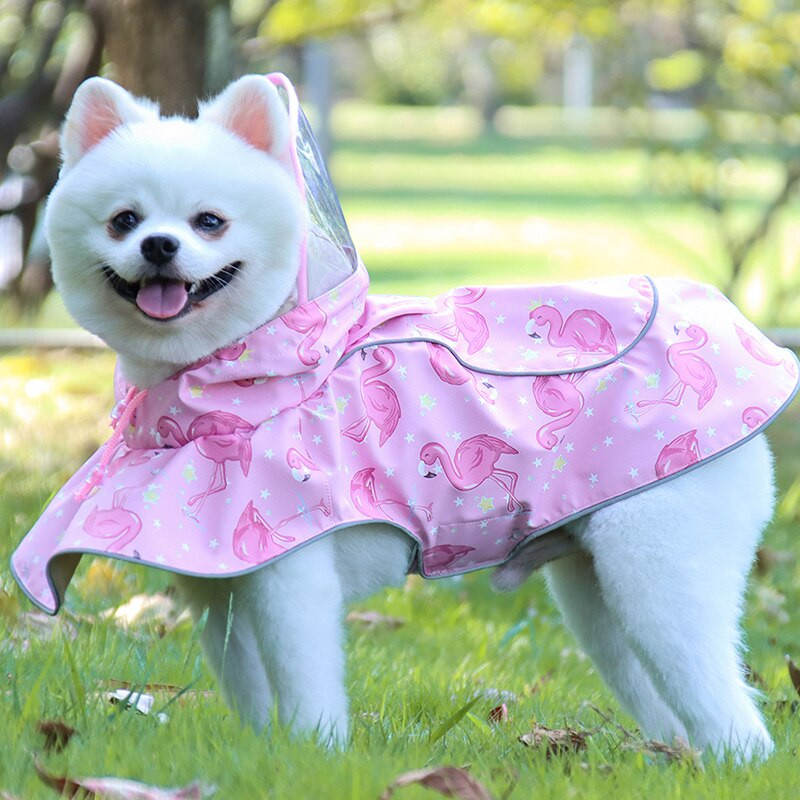 Prindi Koera vihmakate Veekindel mopsi vihmamantel helkurv lemmikloomakepp Corgi Bichionile väikestele keskmistele tõugudele kapuutsiga riided