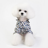 Šteniatko Mačka Nepremokavá štvornohá kapucňa s potlačou, čerstvo potlačená pláštenka pre domáce zvieratá, oblečenie pre psov, letné jarné pláštenky, doplnky pre psov, veľkosť 2XL