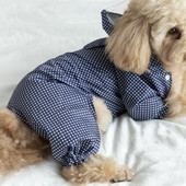 Pláštenka pre psa, overal, nepremokavé oblečenie pre psa, pršiplášť, nohavice, pomeranian, maltézsky bulteriér, bišon, pudel, bradáč, corgi, oblečenie