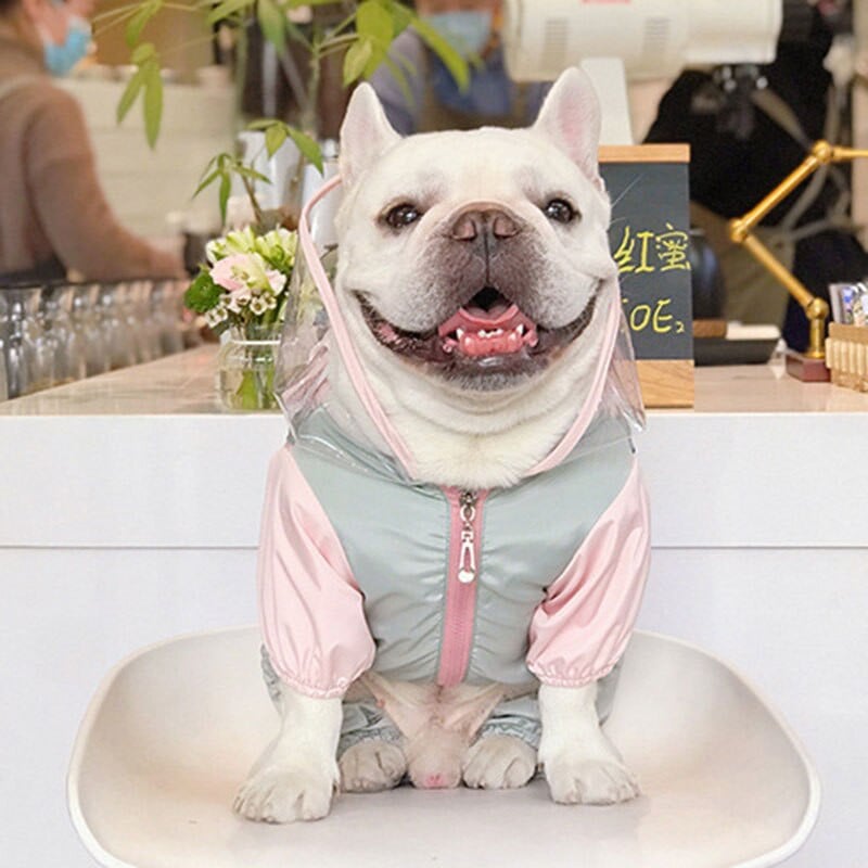 Pláštenka pre psov, francúzsky buldoček, mops, shiba inu, nepremokavá, nepremokavá, s kapucňou pre štyroch psov, vhodná pre malé a stredné psy