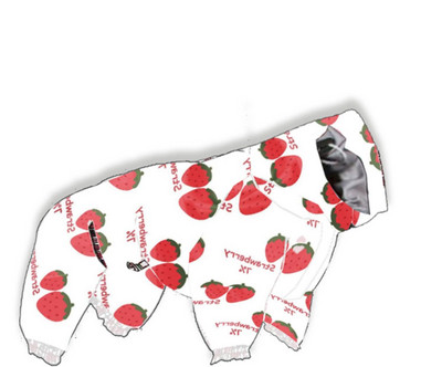 Módny pršiplášť pre psov, overal pre malé a stredné psy, pršiplášť, oblečenie pre domáce zvieratá, corgi, shiba inu, schnauzer, mops, nepremokavá bunda CQC01