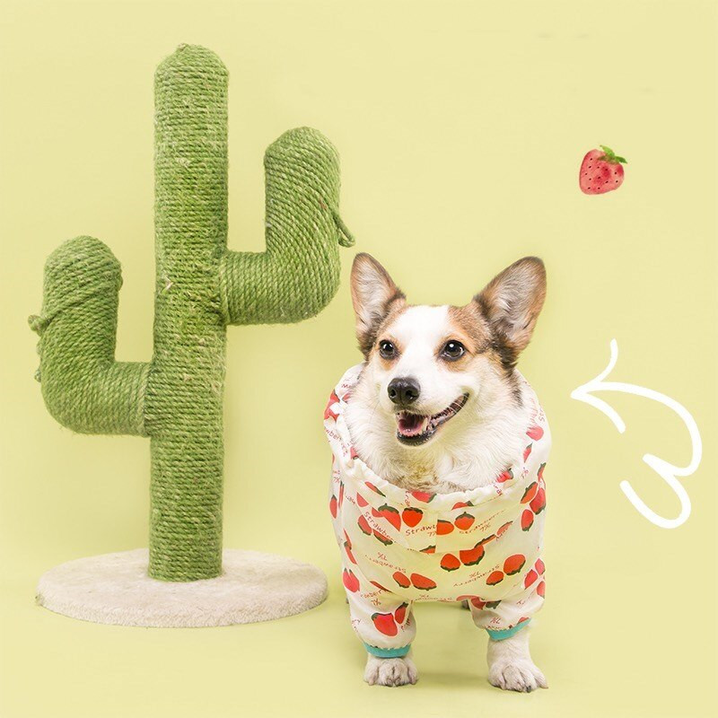 Módny pršiplášť pre psov, overal pre malé a stredné psy, pršiplášť, oblečenie pre domáce zvieratá, corgi, shiba inu, schnauzer, mops, nepremokavá bunda CQC01