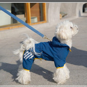 Šviesą atspindintis šunų lietpaltis naminiams gyvūnėliams Kombinezonas nuo lietaus Neperšlampami lietpalčiai mažiems šunims