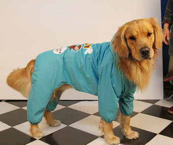 голдън ретривър лабрадор Дъждобран за кучета Водоустойчиво яке с качулка Дъждобран Анимационен гащеризон за големи кучета непромокаем perro