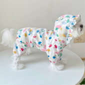 Vasarinis šunų lietpaltis Maži šunų drabužiai Neperšlampami drabužiai Pomeranijos pudelio bichono šnaucerio kostiumas lietaus striukė Dropship