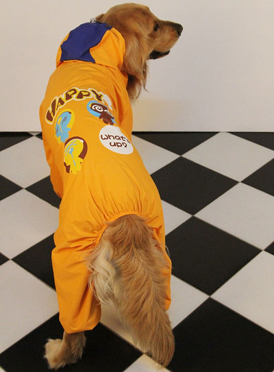 Дъжд за кучета Водоустойчиво облекло Голямо голямо куче Дъждобран Самоед Златен ретривър Лабрадор Костюм Облекло за домашни любимци Палто Chubasquero Perro