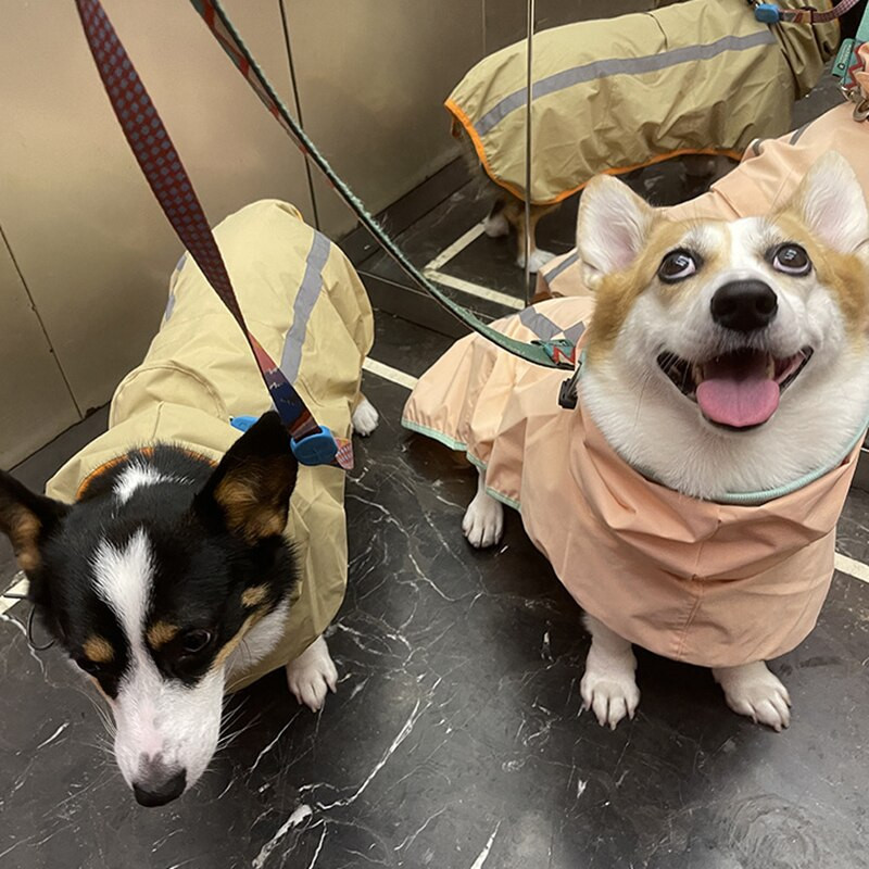 Reflexná pláštenka pre psov, trakčná pláštenka, nepremokavá, vetruodolná bunda pre mačky pre stredne veľké psy, oblečenie pre domáce zvieratá