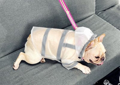 Domáce zvieratá Produkty Psy Potreby Francúzske buldočky Mopsy Priehľadné pršiplášte