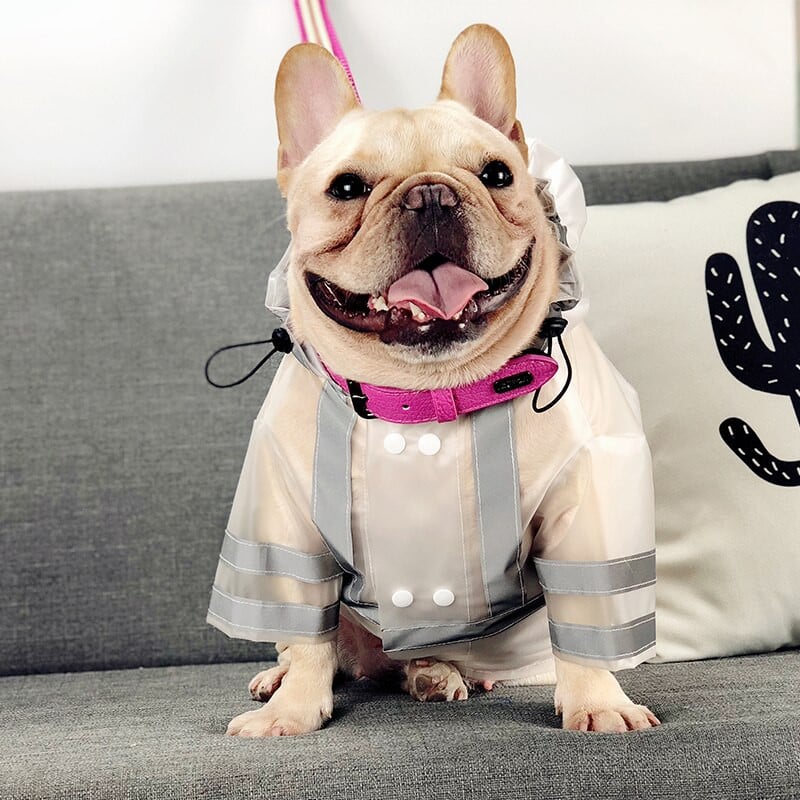 Domáce zvieratá Produkty Psy Potreby Francúzske buldočky Mopsy Priehľadné pršiplášte