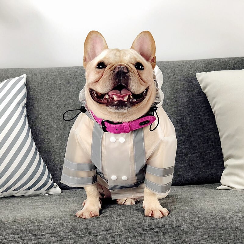Domáce zvieratá Produkty Psy Potreby Francúzske buldočky Mopsy Priehľadné pršiplášte