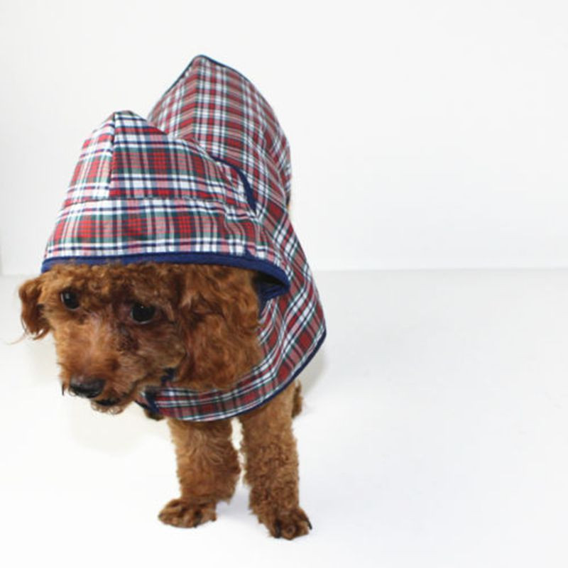 Δωρεάν αποστολή Αδιάβροχο για κατοικίδια Αδιάβροχα ρούχα για σκύλους Ainmal Προϊόντα χονδρέμποροι 4 μεγεθών υψηλής ποιότητας Μοναδικό σχέδιο για κουτάβι