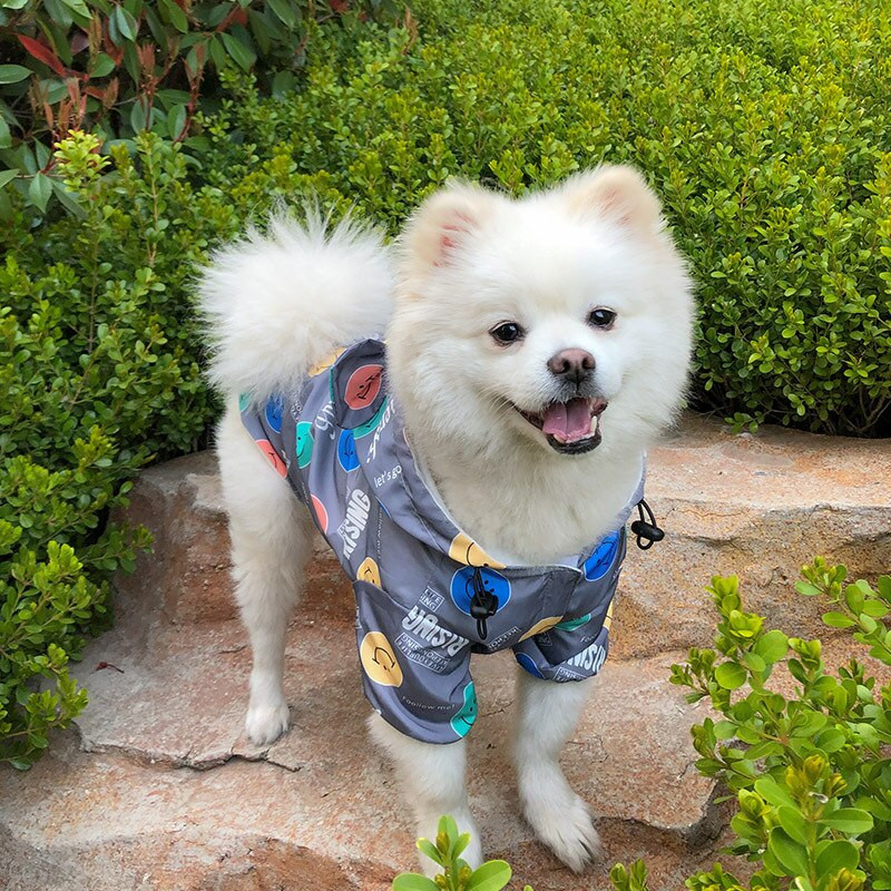 Pláštenka na pes, nepremokavé oblečenie pre medvede, jarné a jesenné tenké letné francúzske bojové bundy pre malé a stredné psy