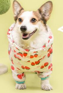 Lemmikloomade rõivad Veekindel kõikehõlmav koerte vihmamantel, mis sobib väikestele keskmistele koertele Neljajalgsete kapuutsiga Corgi puudlikoera vihmamantel